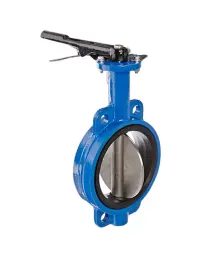 Butterfly Valve