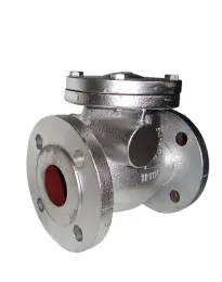 Check Valve