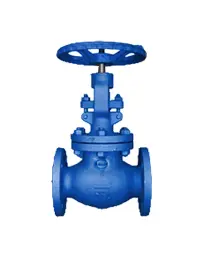 Globe Valve