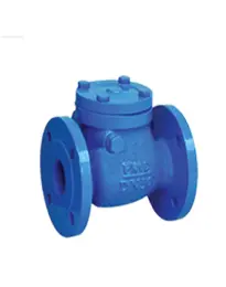 Ressilent Check Valve