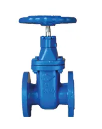 Ressilent Gate Valve