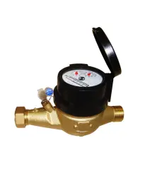 Water Meter Gold